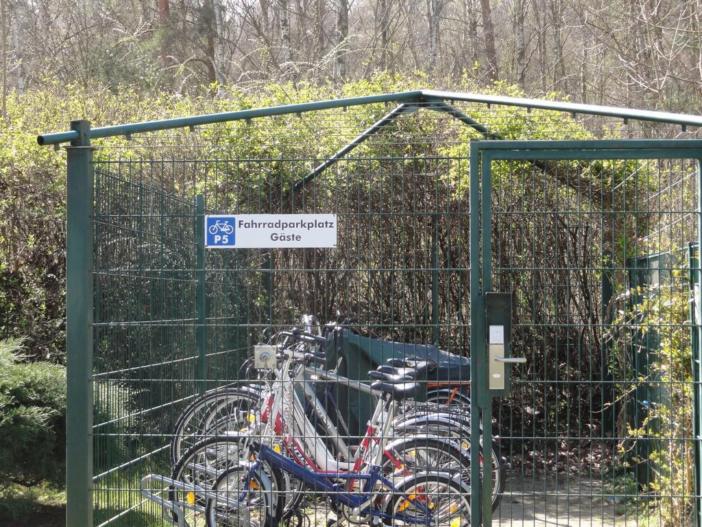 בינץ Ferienwohnung Im Duenenpark חדר תמונה